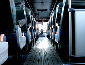 mini bus - brooklyn tour transport