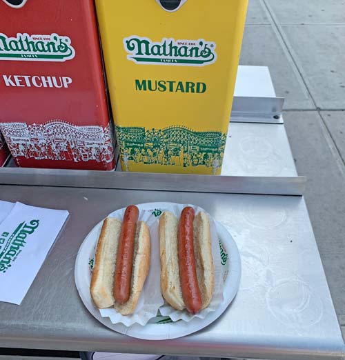 hotdogs in buns